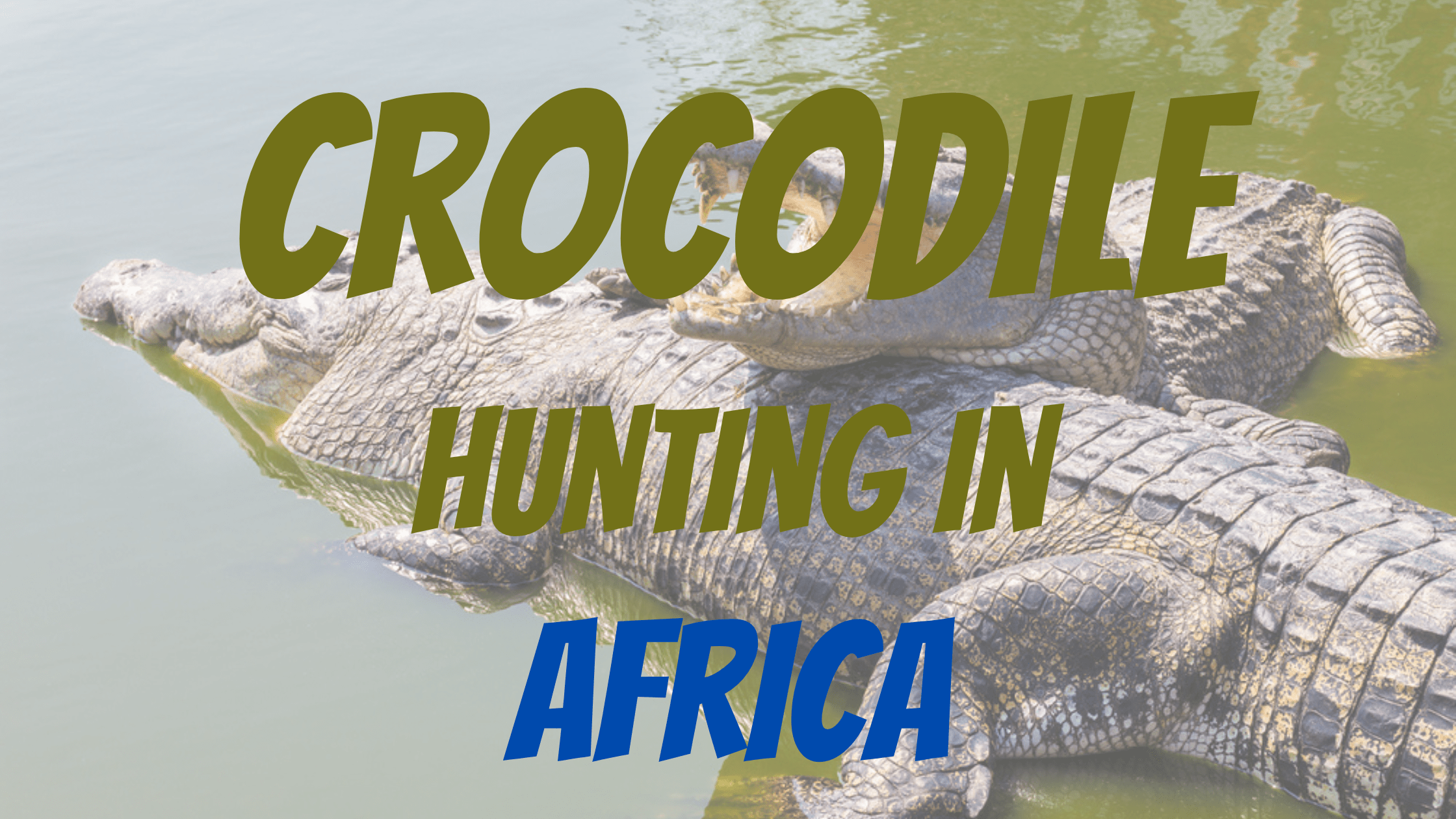 Crocodile Hunting in Africa