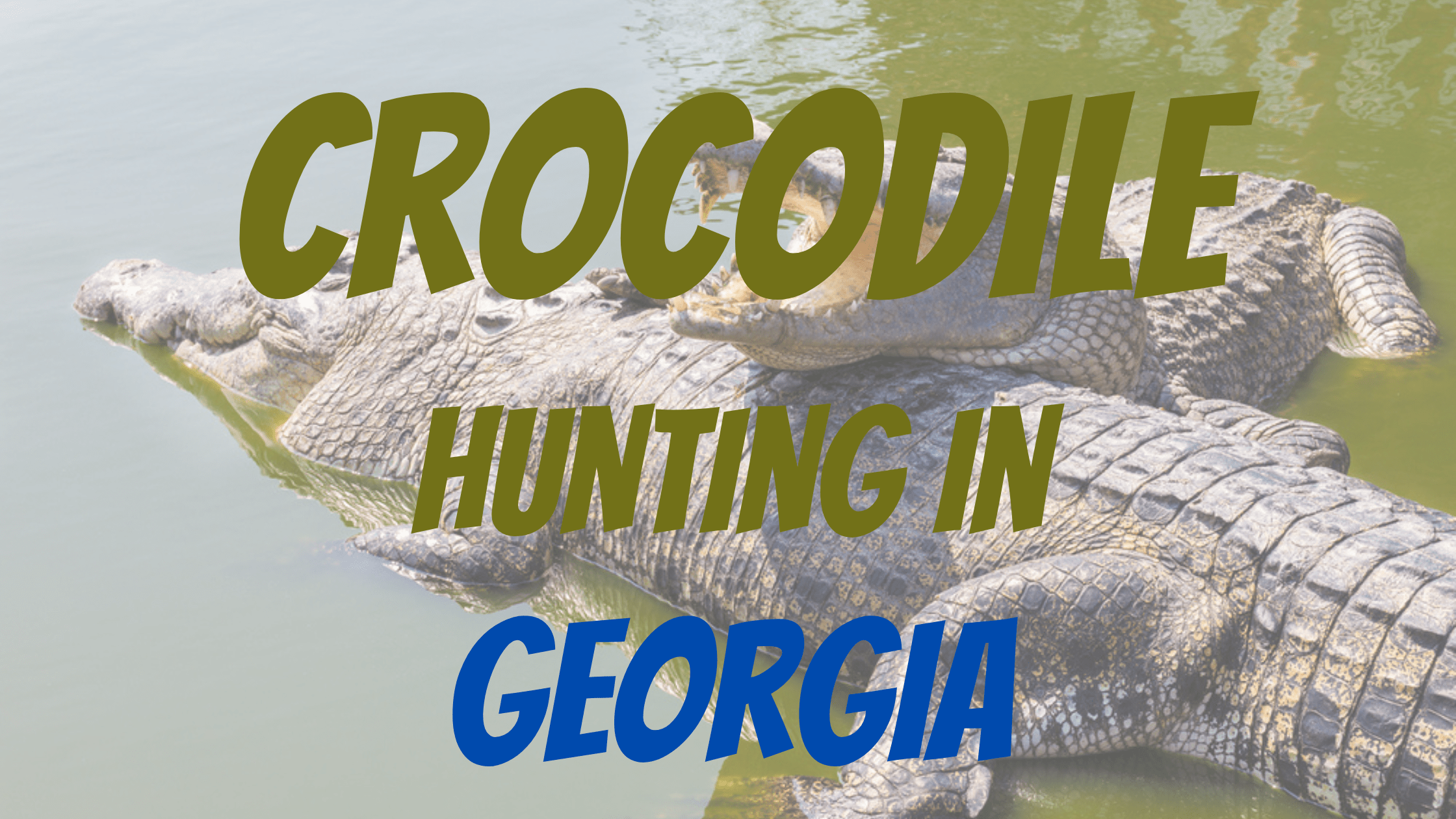 Crocodile Hunting in Georgia