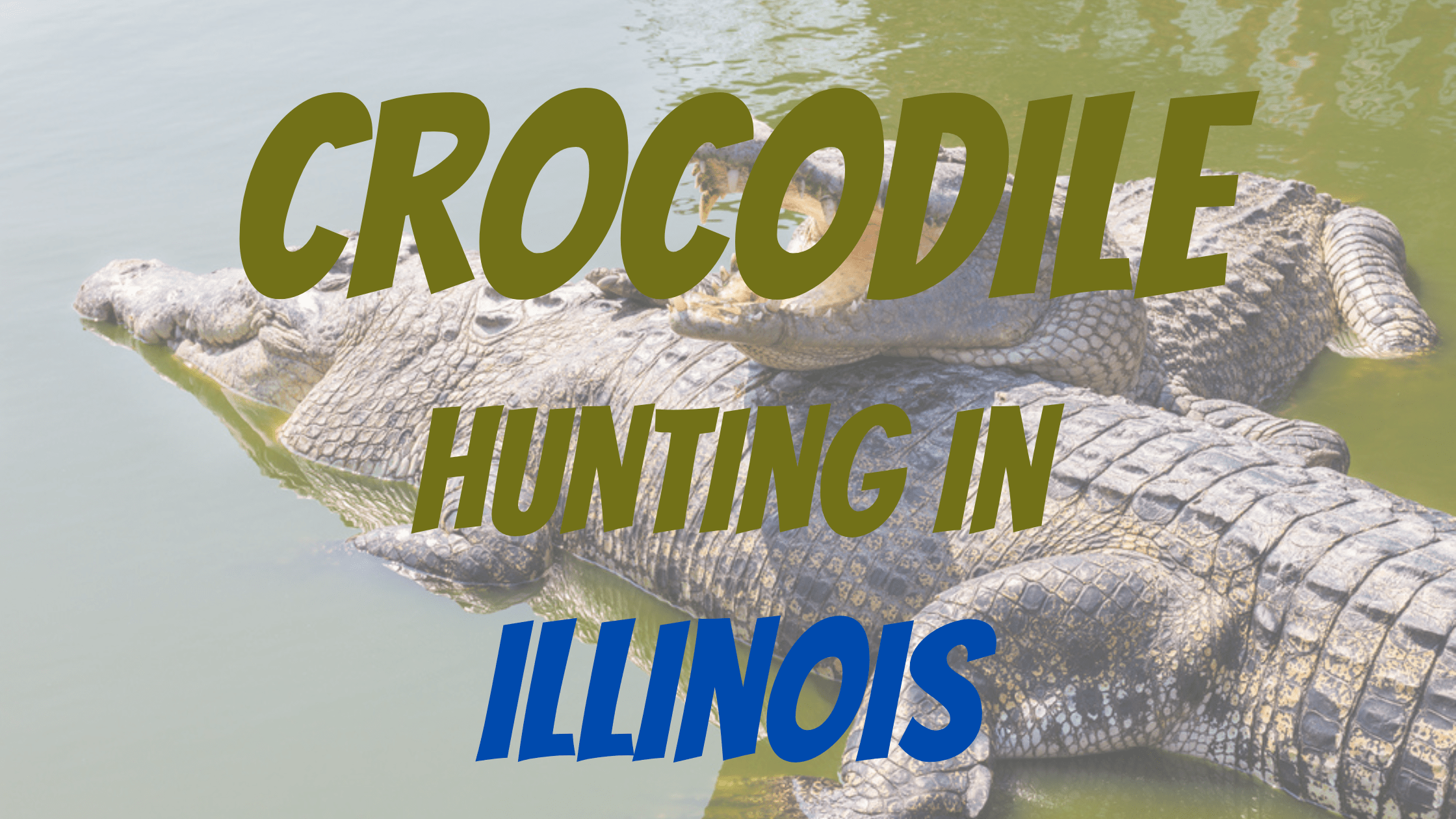 Crocodile Hunting in Illinois