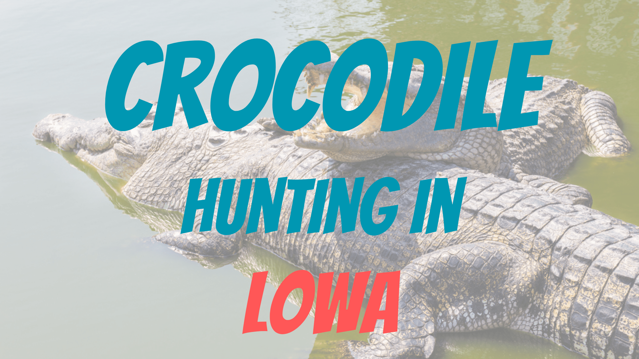 Crocodile Hunting in Iowa