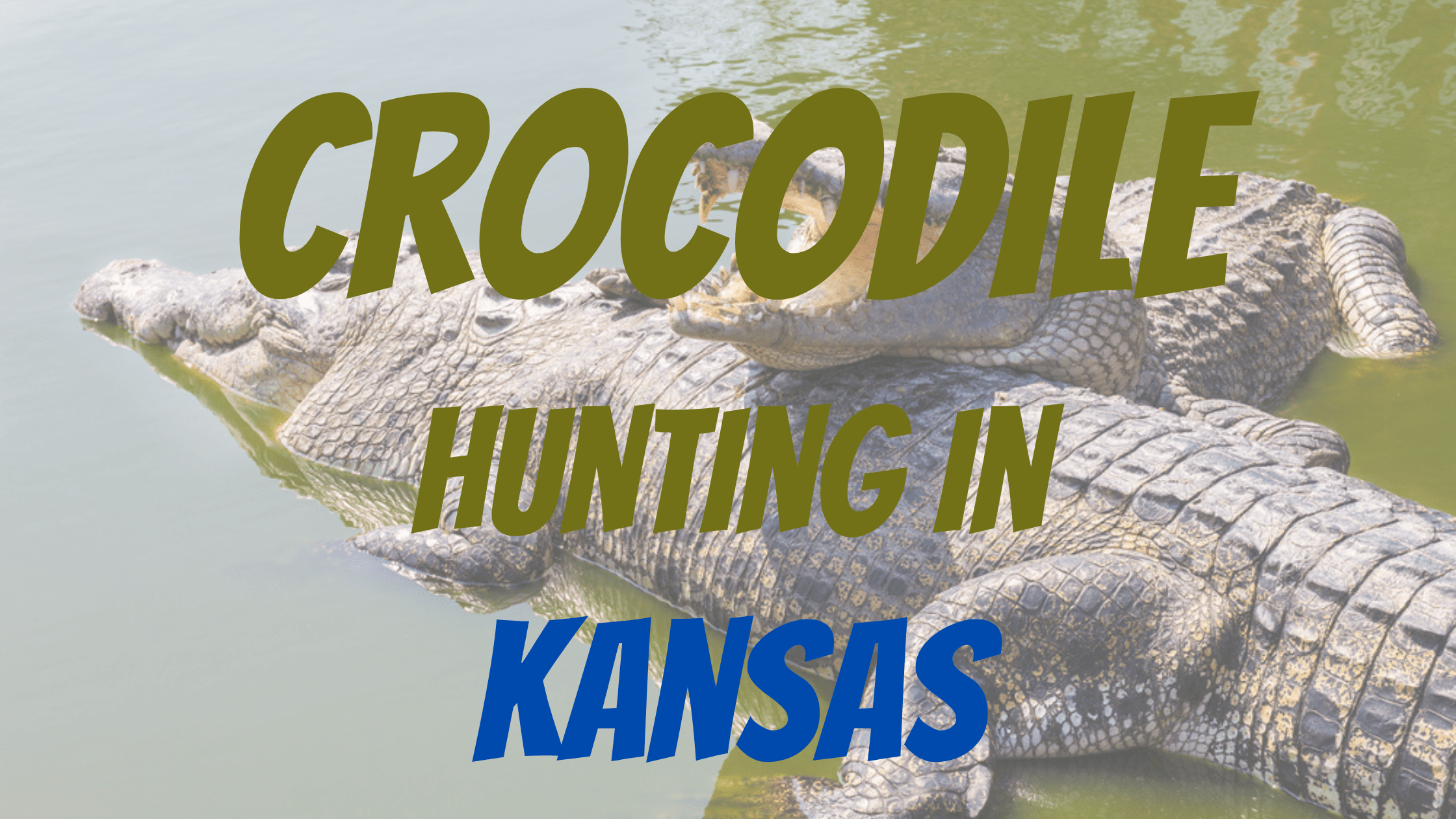 Crocodile Hunting in Kansas