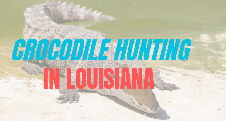 Crocodile Hunting in Louisiana