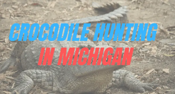 Crocodile Hunting in Michigan