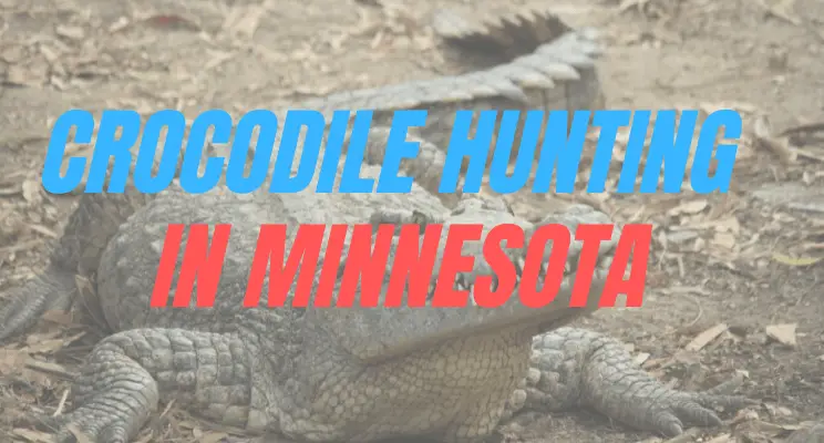 Crocodile Hunting in Minnesota