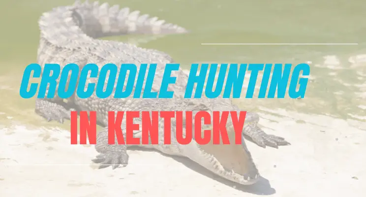 Crocodile hunting in Kentucky
