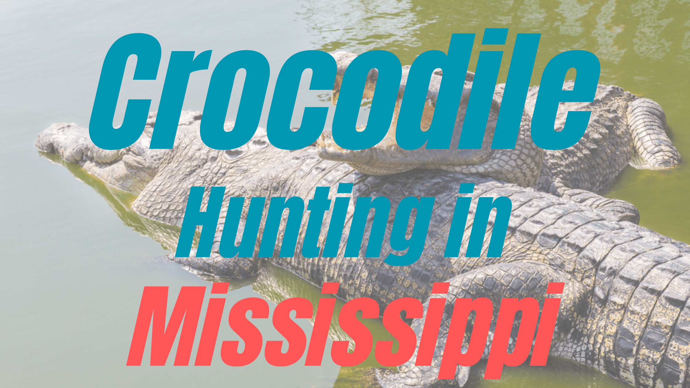 Crocodile Hunting in Mississippi